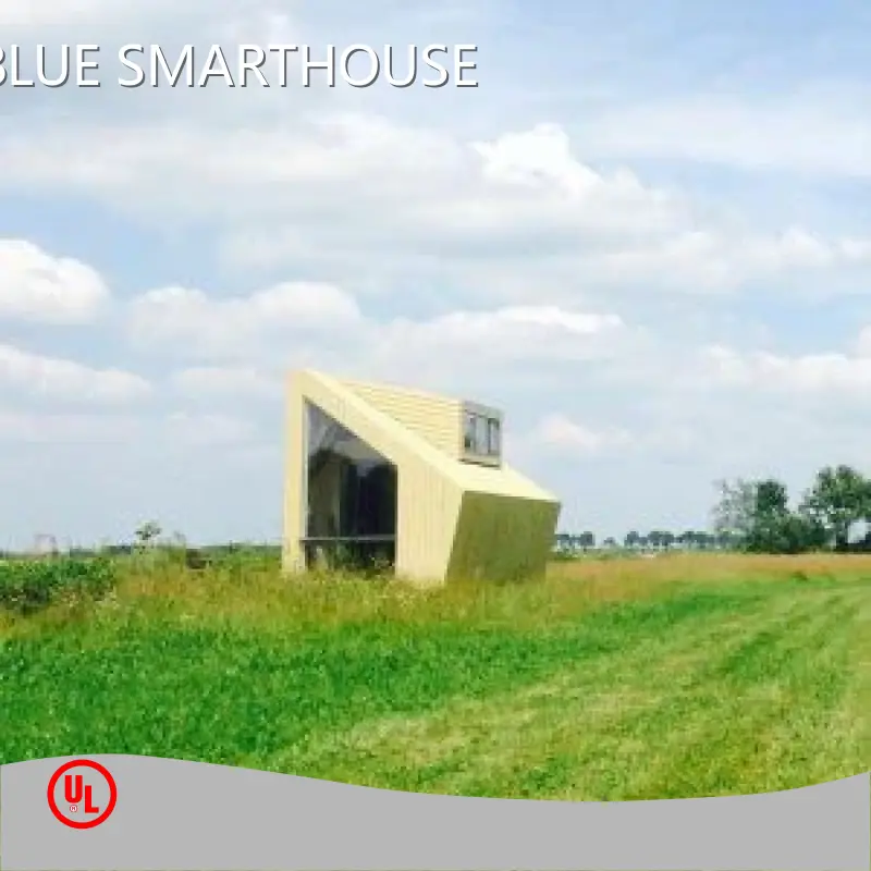 Modern Cabin House Design - - DEEPBLUE SMARTHOUSE 1