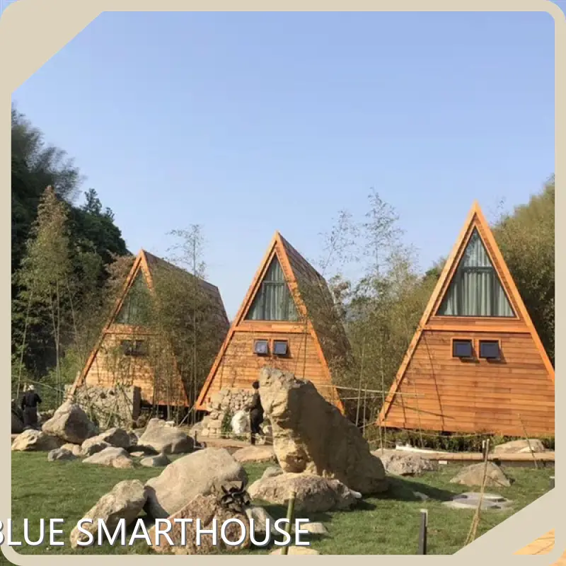 Pre Fabricated Homes by DEEPBLUE SMARTHOUSE-8 1
