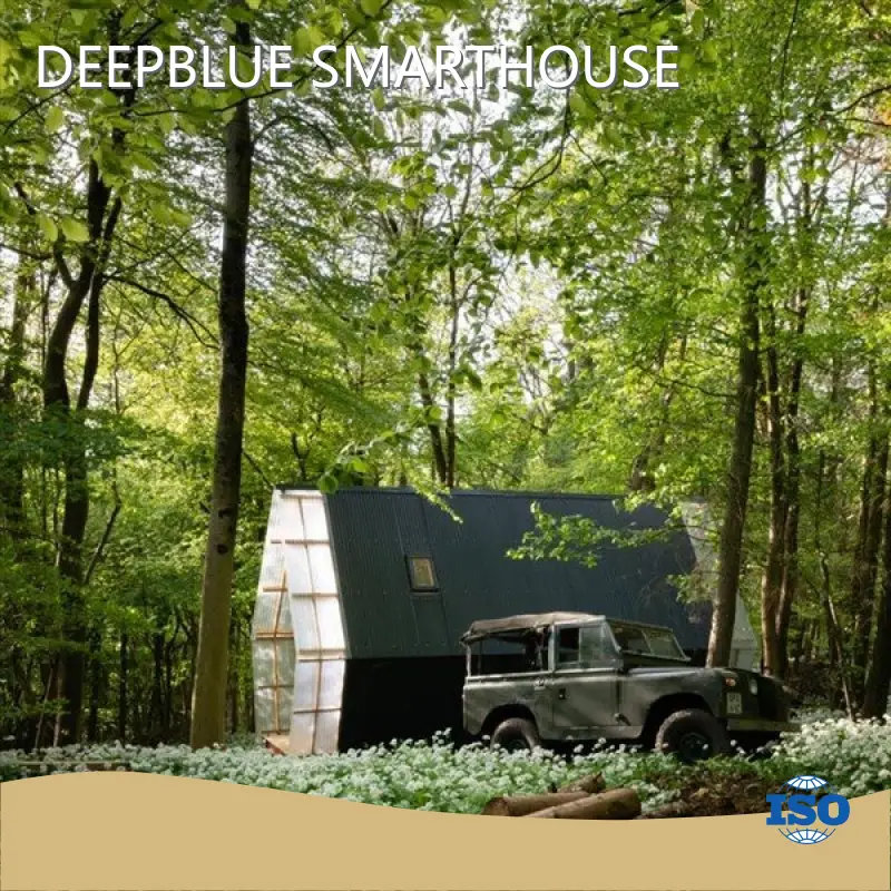 Pre Fabricated Homes - - DEEPBLUE SMARTHOUSE-8 1