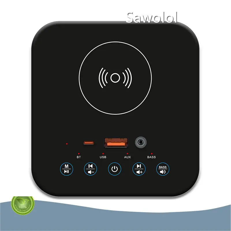 Factory Direct Custom Made Speakers Company 1