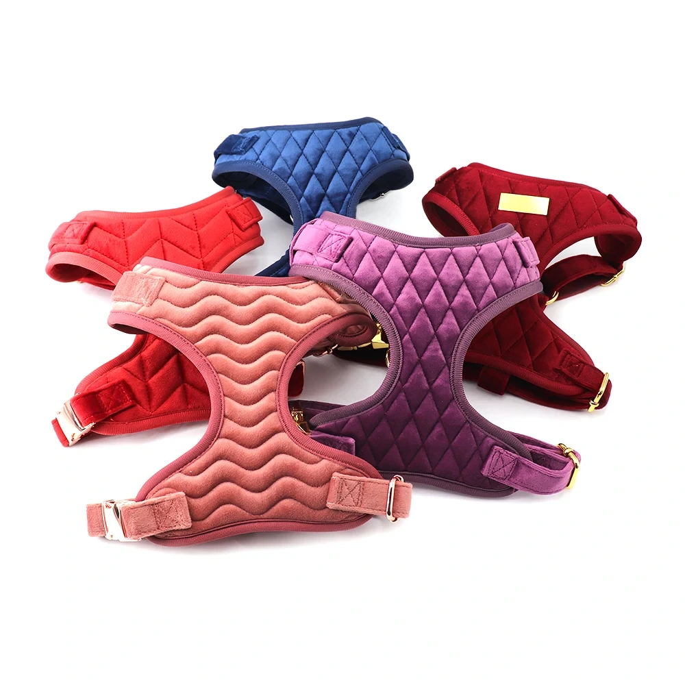 2024 Pet Collar Designer Thicken Velvet Adjustable Personalized Dog Harness Leash Collar Poop Bag Bow Tie Set 5 Piece Combo For Small Large Dogs Quick Release 1