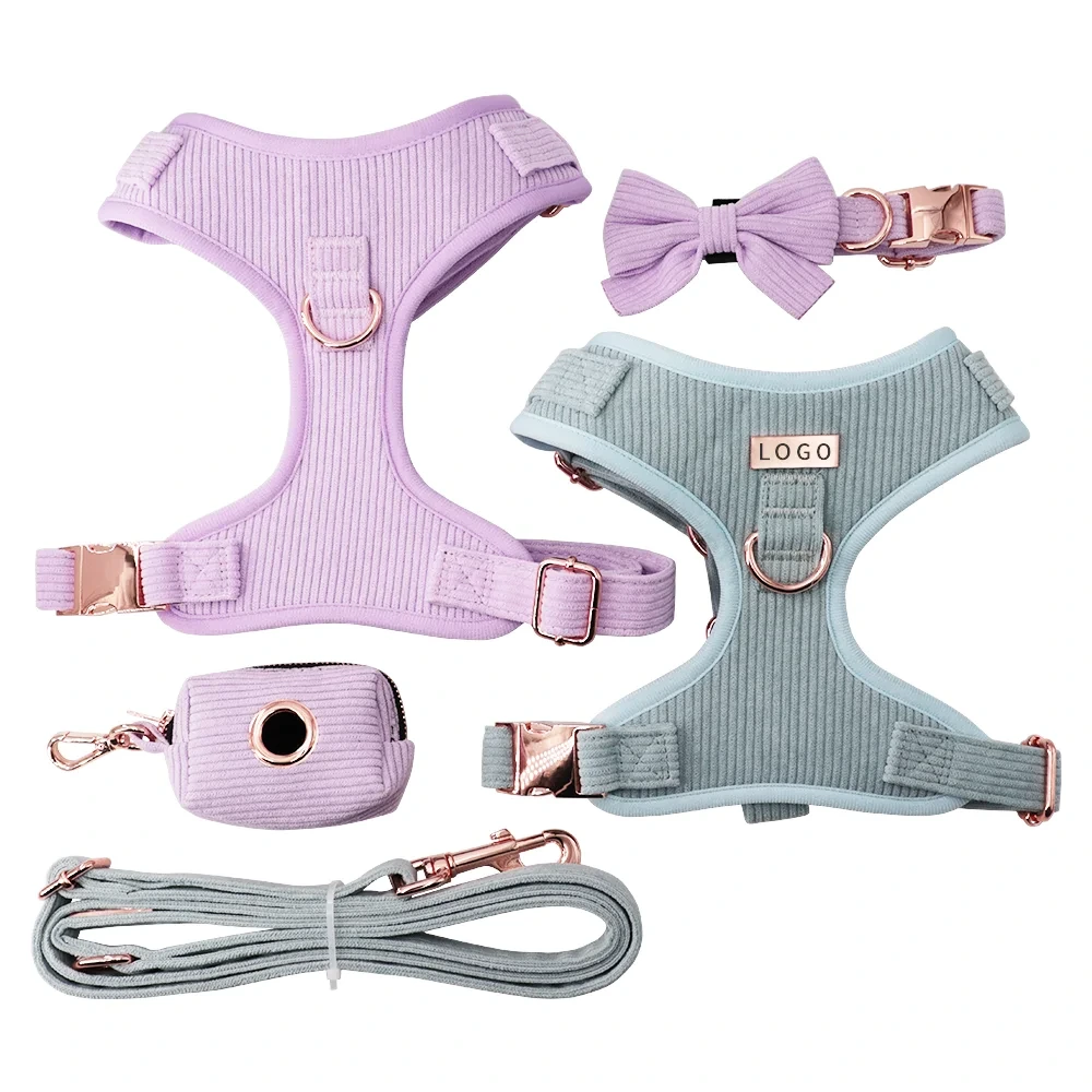 Ensemble de harnais de luxe en velours côtelé pour chiot, vente en gros, harnais pour chien, laisse, nœud papillon, sac à excréments, ensemble de 4 pièces Combo 1