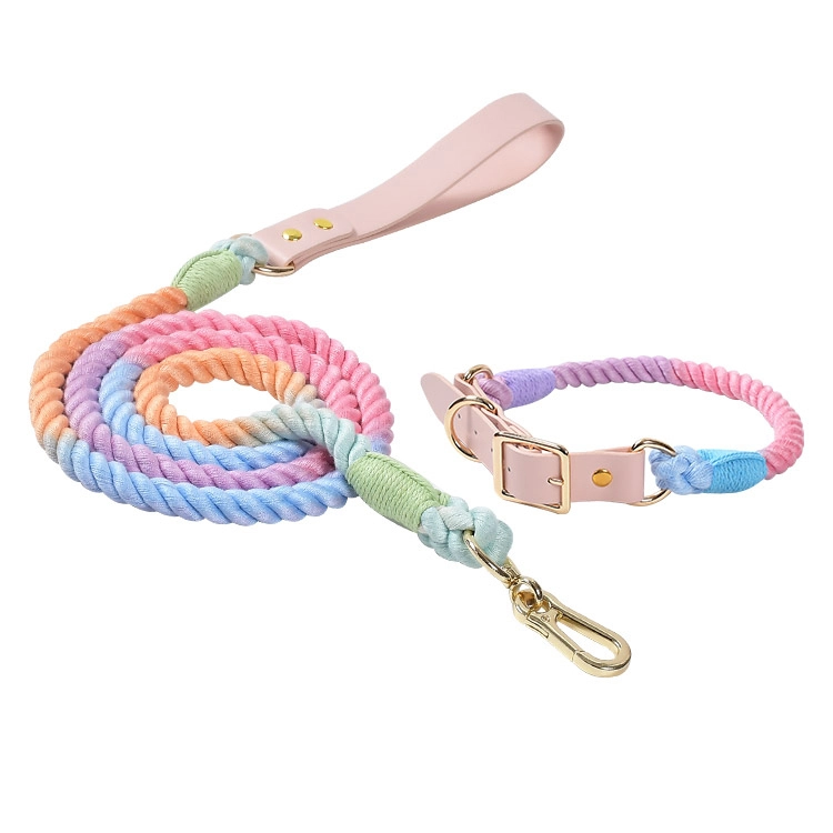 Laisse de chien tressée organique de corde de coton de chien de marche multicolore d'entraînement lourd de luxe avec l'ensemble de collier 1