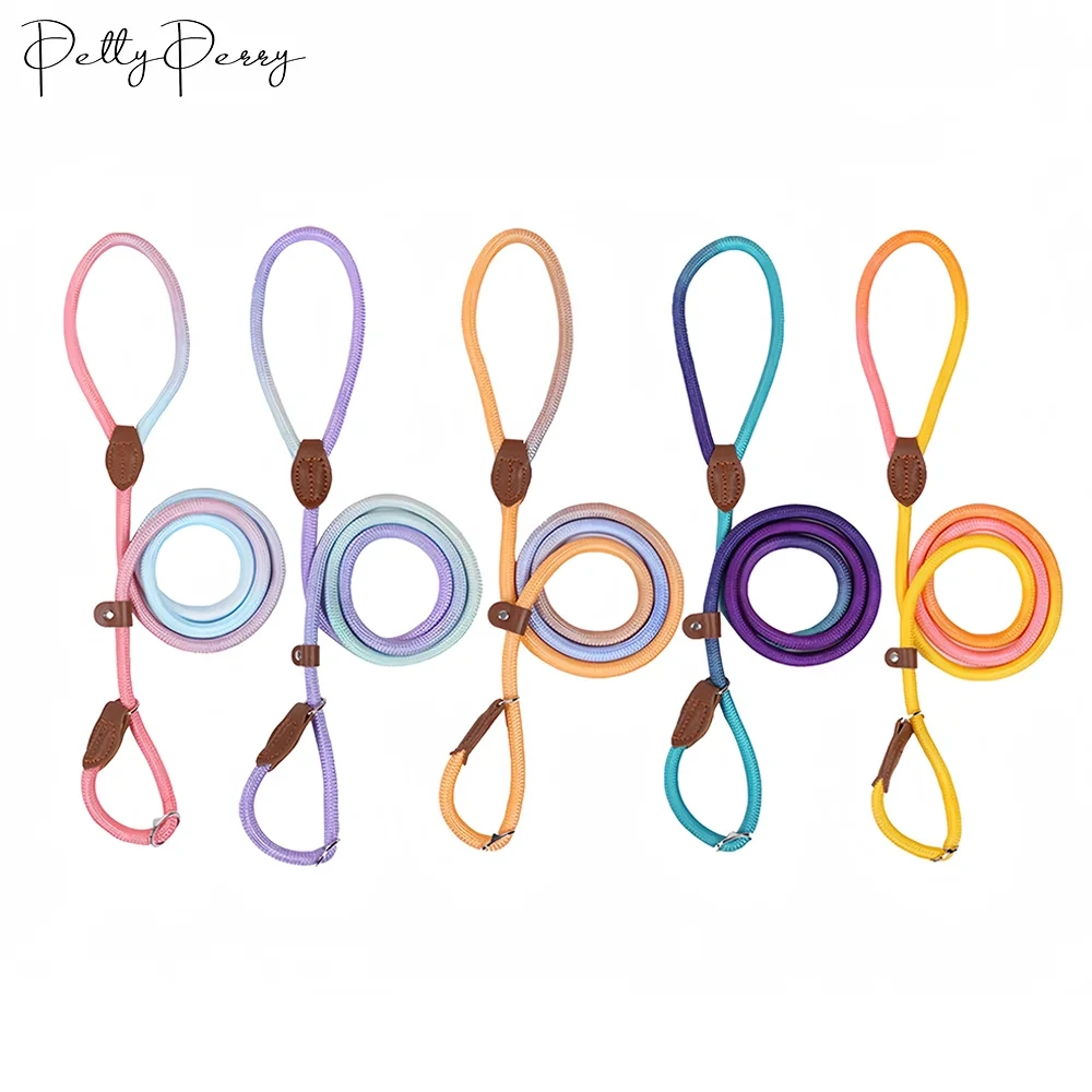 Dazzling Colors Pet Outdoor Hersteller, Nylon, verstellbare Haustier-Hundeleine, langlebig, einziehbare Hundeleine 1