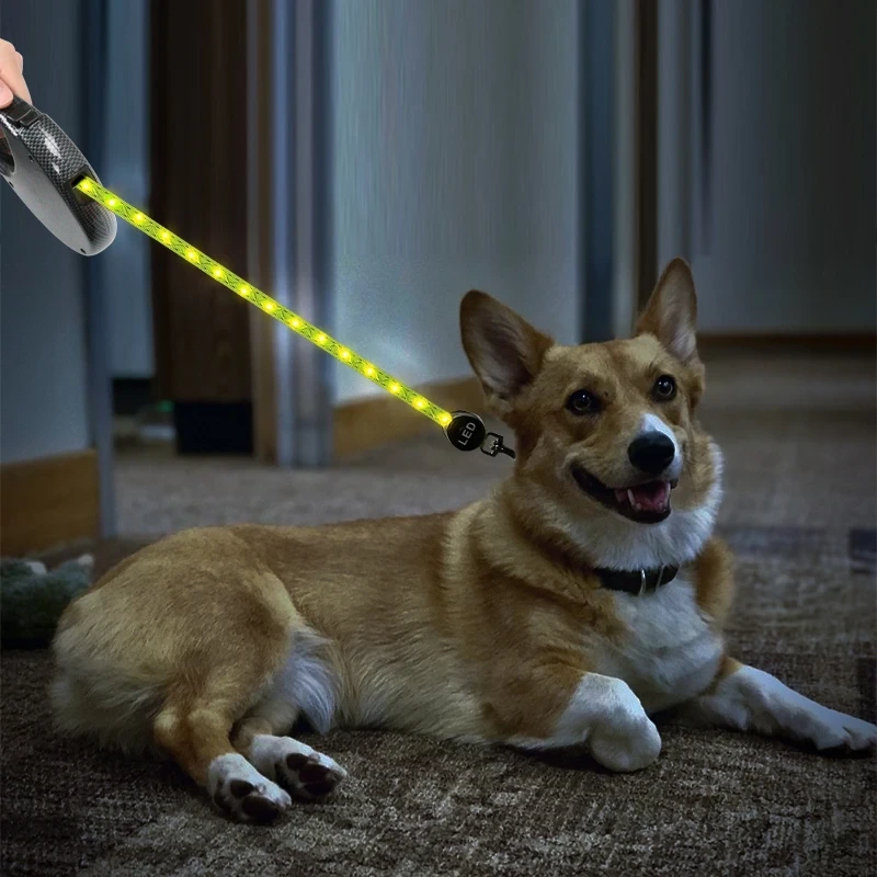 Custom Logo 2.5m LED Dog Lead With Lightweight Portable Walking Lead For Small Dogs  LED Adjustable Tangle-free Retractable Dog Leash 1
