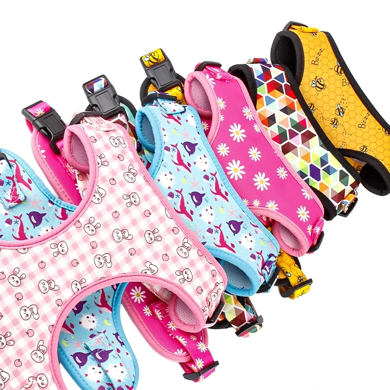 OEM/ODM personalisiertes buntes Muster, luxuriöses individuelles Design, wendbar, weiche Haustierhalsbänder, Leinen, luxuriöses Hundegeschirr-Set 1