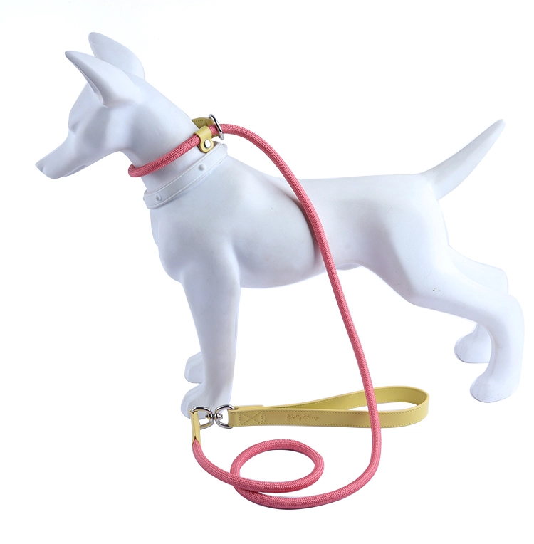 PAIRUIPETS Correa de cuerda fuerte y cómoda Correa de cuerda para perro con correa antideslizante para caminar al aire libre, trotar, caminar o entrenar 1