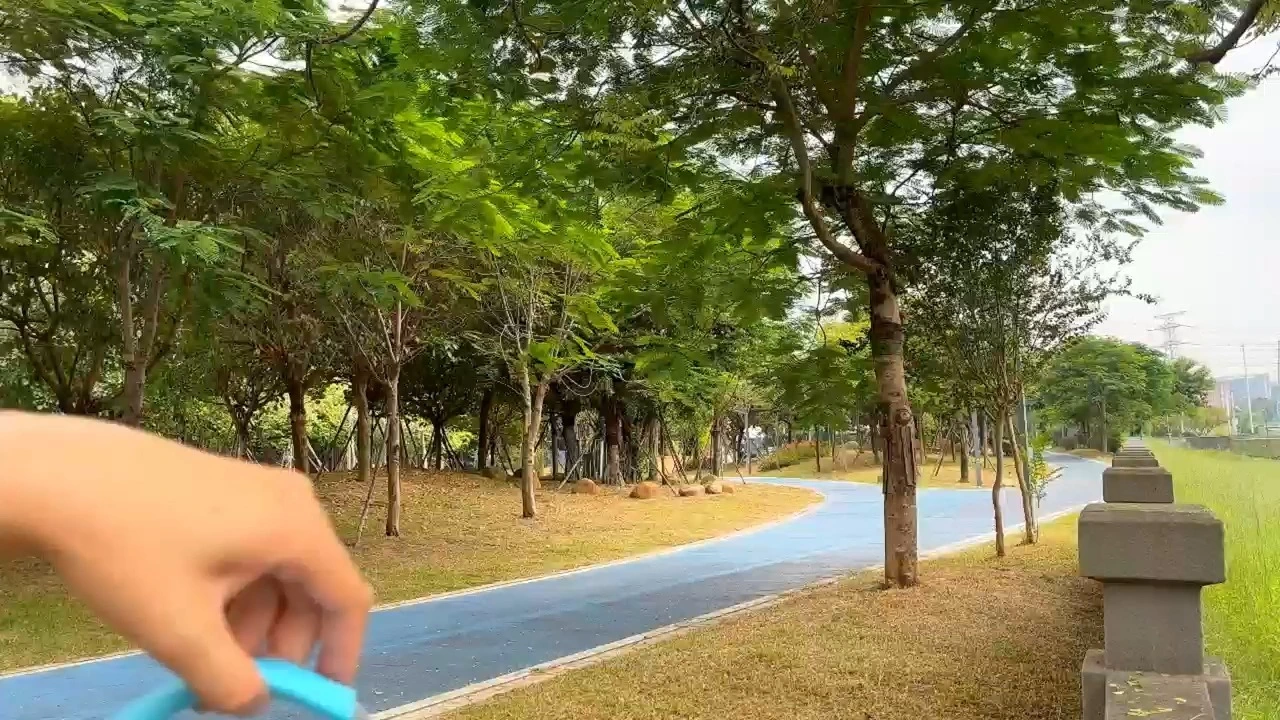 PAIRUIPETS entraînement au travail contrôle facile poitrine tactique harnais en Nylon ensemble de laisse harnais d'entraînement pour chien avec poignée 1