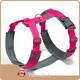 Padded Easy Walk Harness Dogs Wholesale - PairuiPets 1