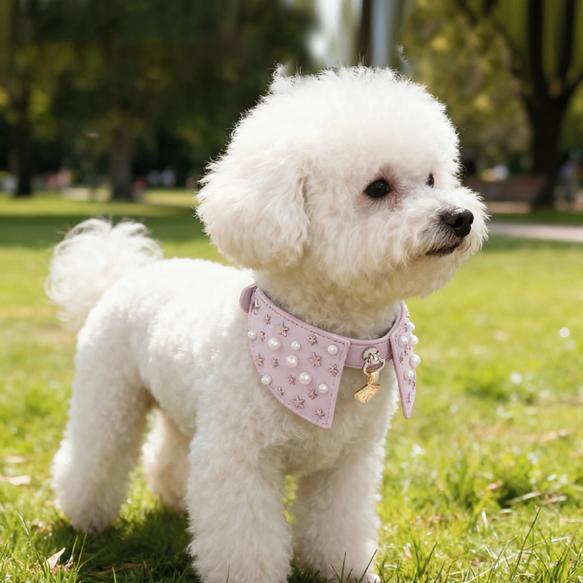 Elegant Decorative Tie Dog Collar – Adjustable Soft PU Leather, Pearl & Star Embellishments, Durable Metal Pin Buckle, Secure Pendant for Small/Medium Dogs 1