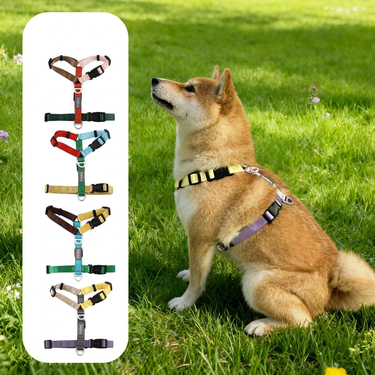 Adjustable H-Frame Dog Harness – Polypropylene Webbing, Quick-Release Buckles, Rust-Resistant D-Rings, Customizable Logo & Colors for Small/Medium/ Dogs 1