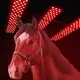 Best Red Light Therapy for Dogs for Sale Western Uinonfactory 3