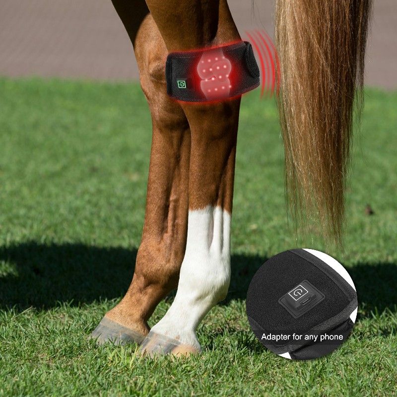 Sunglor Unique 660nm 850nm Terapie cu lumină roșie Horse Warps pentru copita ecvină 5