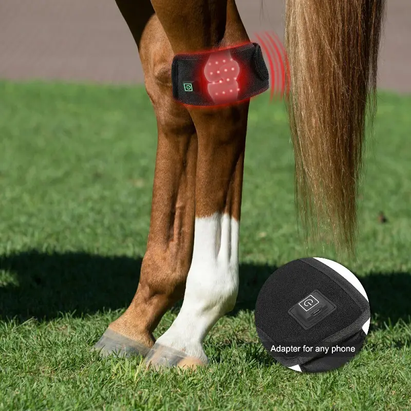 Terapia a Laser de Luz Vermelha para Cavalos 3-7 Dias Úteis - Empresa - Sunglor 5