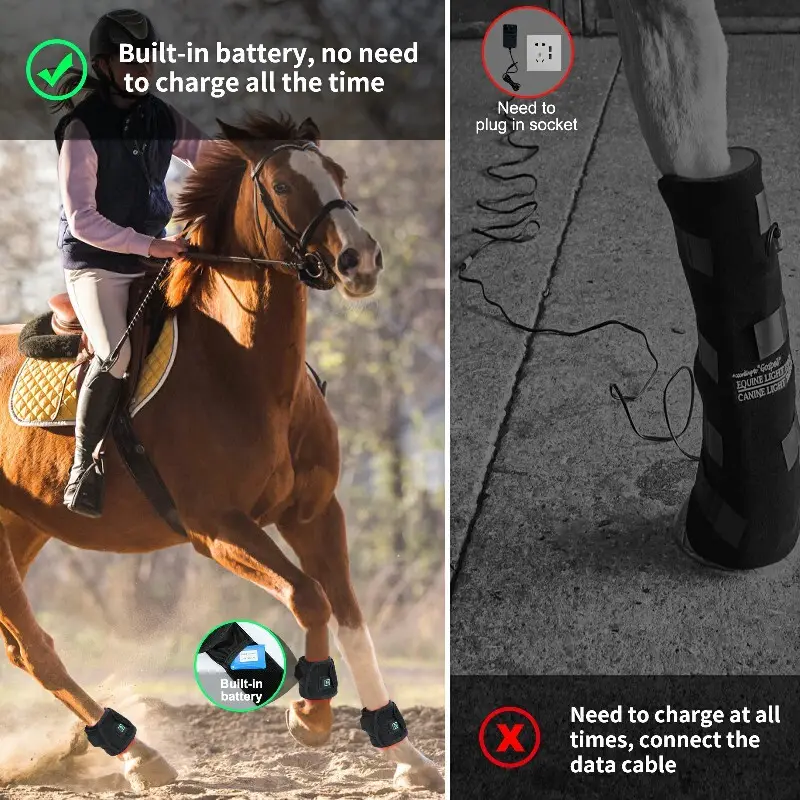 Terapia a Laser de Luz Vermelha para Cavalos 3-7 Dias Úteis - Empresa - Sunglor 6