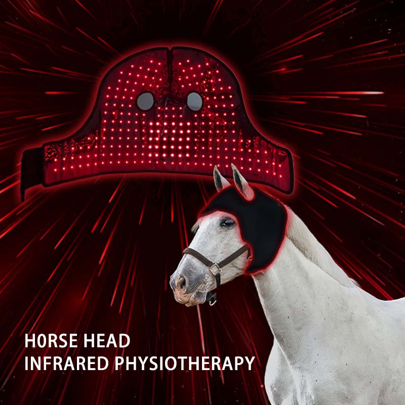 Baterie încorporată Equine Poll Terapie cu lumină roșie pentru cap de cal 1