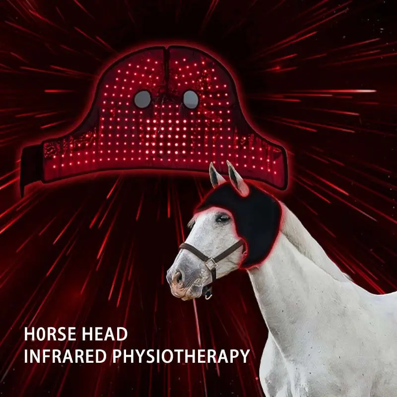 Horse Infrared Light Therapy SBR - for House - Sunglor 2