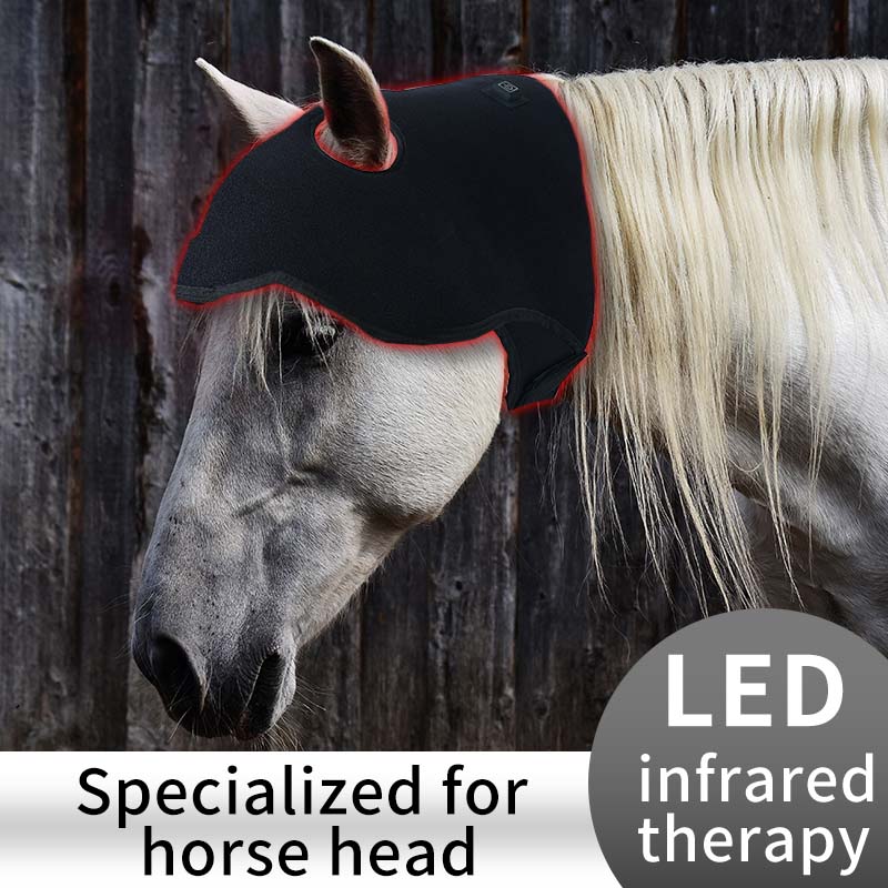Baterie încorporată Equine Poll Terapie cu lumină roșie pentru cap de cal 4