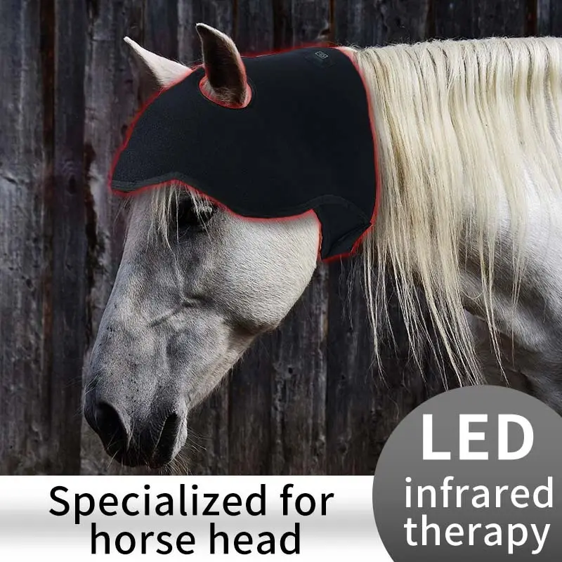 Horse Infrared Light Therapy SBR - for House - Sunglor 4