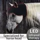 Horse Infrared Light Therapy SBR - for House - Sunglor 4