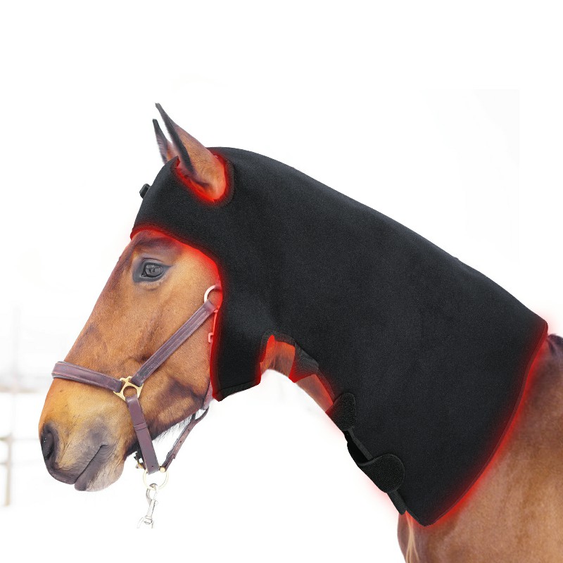 2023 Ny stil Pulse Horse Head 660nm 850nm hästhuva Terapiuppsättning rödljusterapihäst Enkät 3