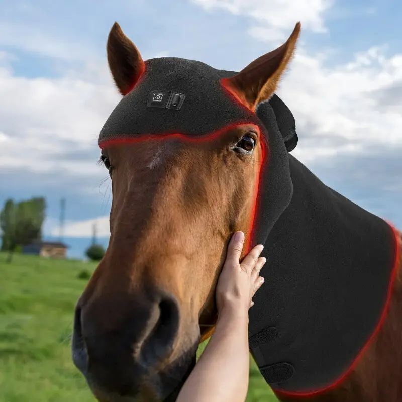 Terapia con láser de luz roja del sol para caballos 360*160*80 mm Terapia láser de luz roja para el suministro directo de fábrica de caballos 4