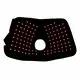 Oem & Odm Canine Red Light Therapy Canine Red Light Therapy Company 3