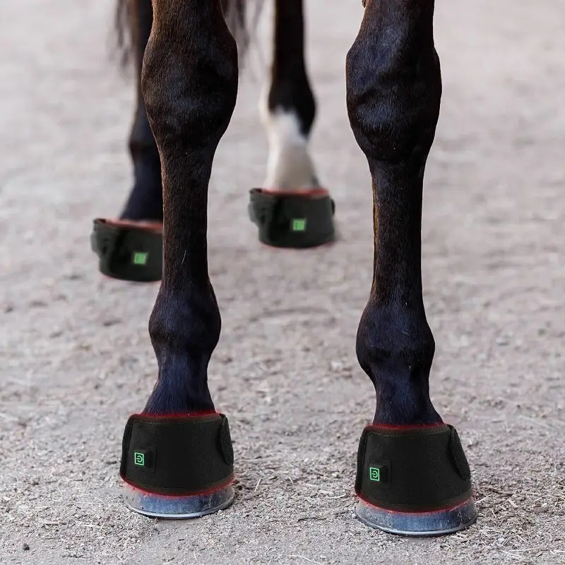 Durable Infrared Horse Therapy for Different Industries 5