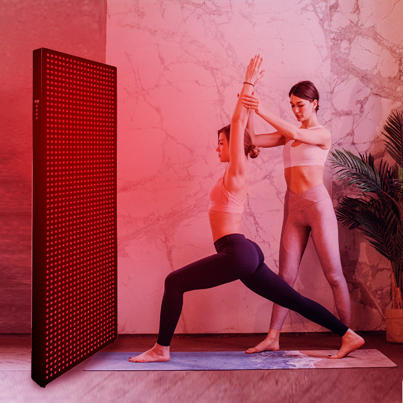 High Power 6000W Big Size Full Body Treatment 660NM 850NM Near Infrared LED Red Light Therapy Panel 6