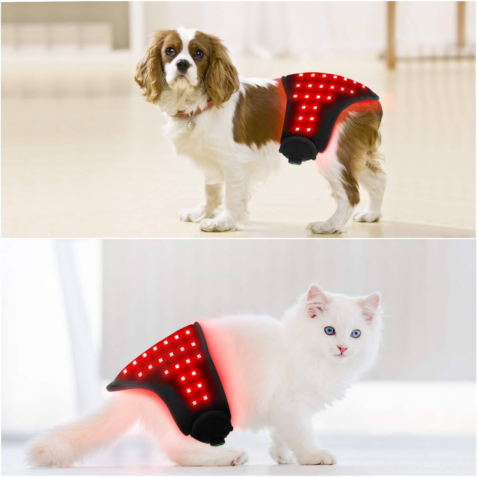 Pet Care Red Light Therapy Belt with 660NM 850NM LED Infrared Wrap for ...