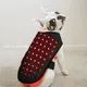 Customized Red Light Therapy for Dogs with Arthritis for Cat 2