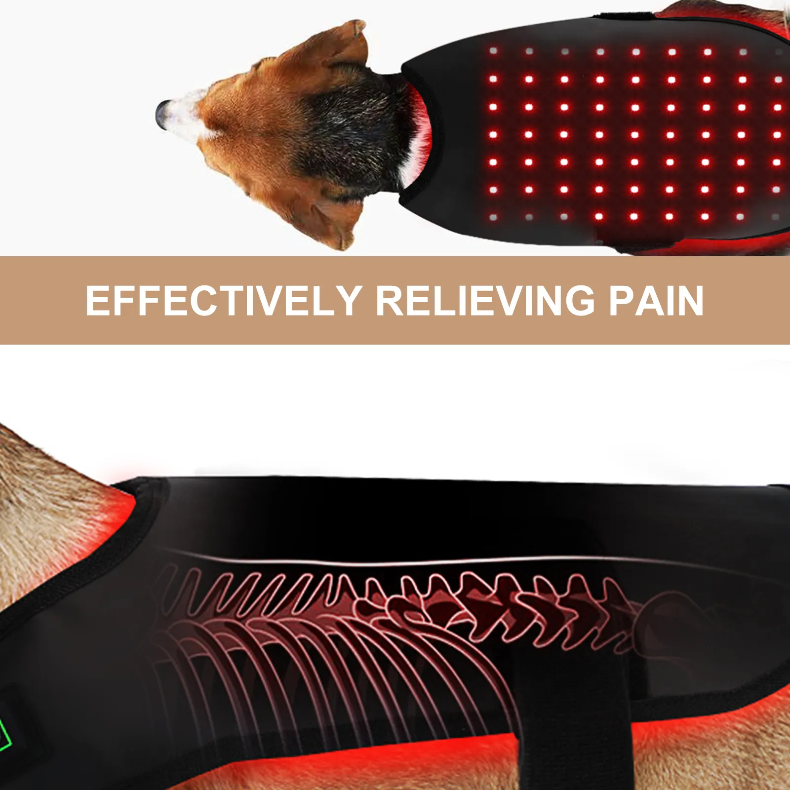 Customized Red Light Therapy for Dogs with Arthritis for Cat 5
