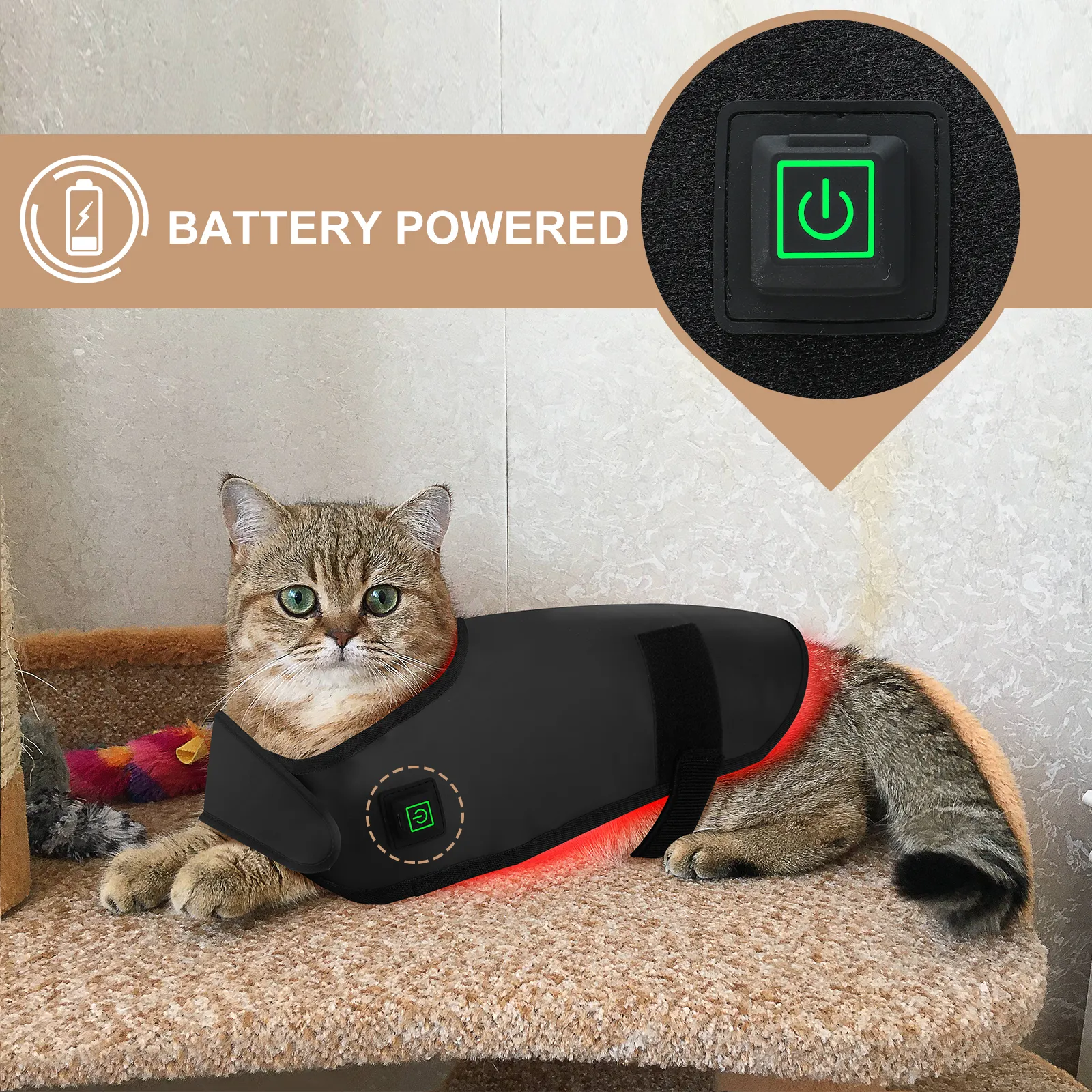 Customized Red Light Therapy for Dogs with Arthritis for Cat 4