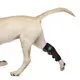 For House Infrared Horse Therapy SG-WP-HD by Sunglor 4