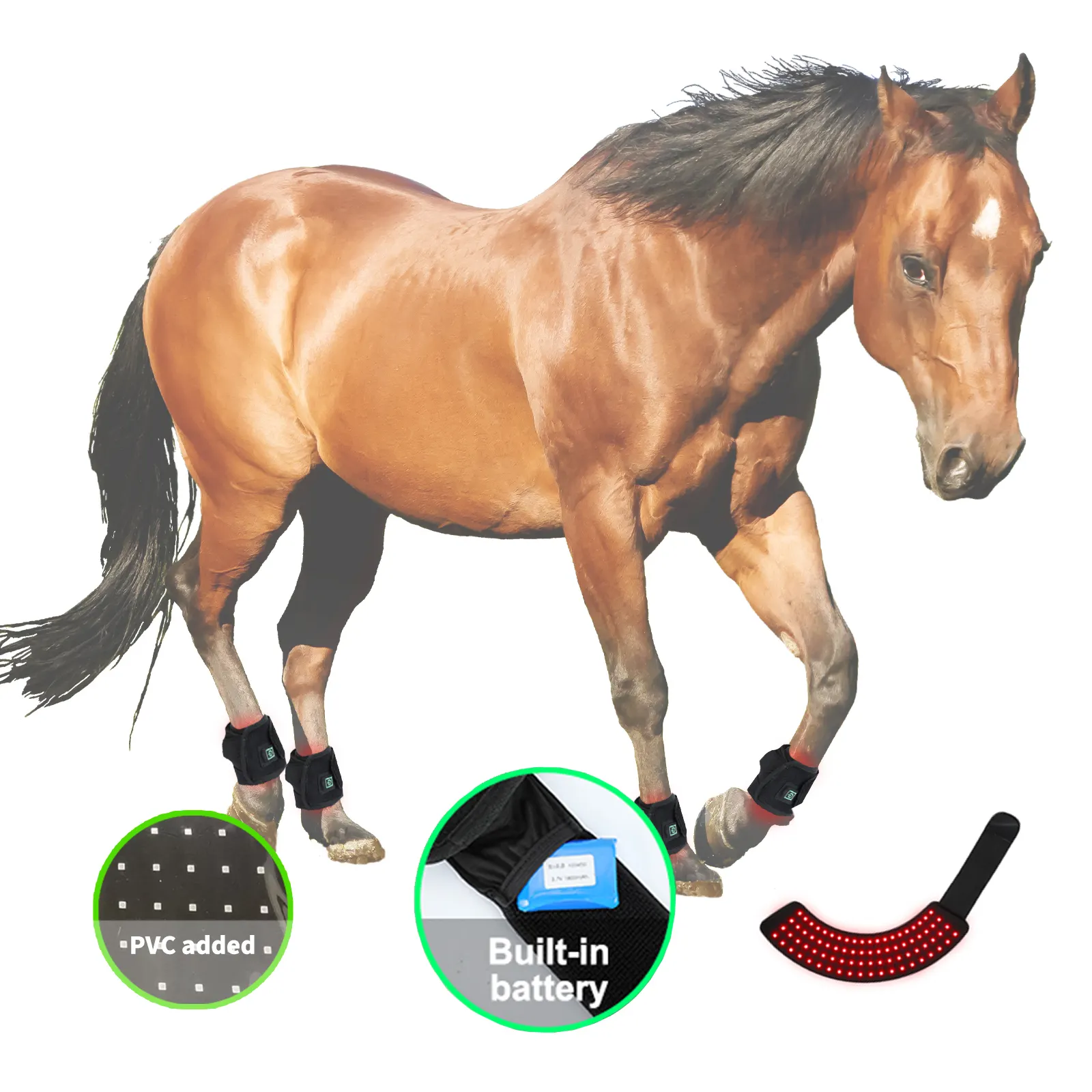 Terapia a Laser de Luz Vermelha para Cavalos 3-7 Dias Úteis - Empresa - Sunglor 2