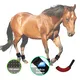 Terapia a Laser de Luz Vermelha para Cavalos 3-7 Dias Úteis - Empresa - Sunglor 2