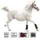 Quality Dog Red Light Therapy for House 2