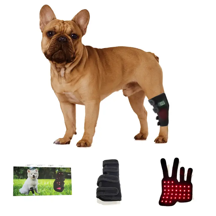 犬の赤色光療法 | Sunglor