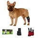 For House Infrared Horse Therapy SG-WP-HD by Sunglor 2