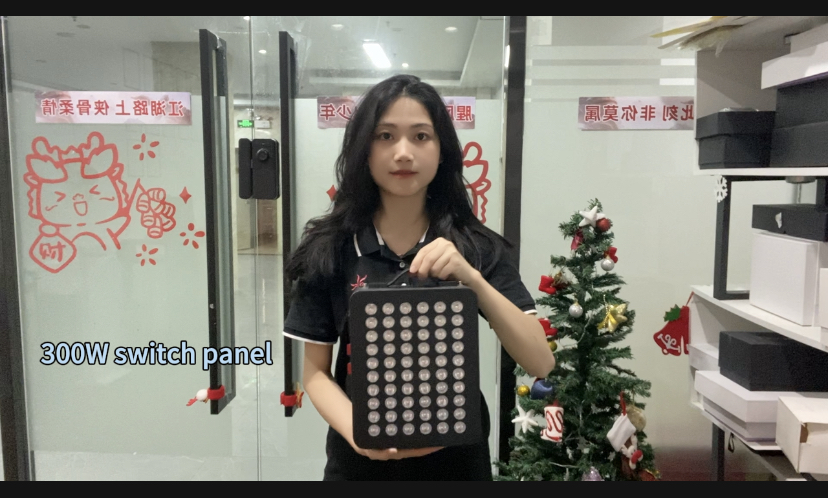 300 W LED-punavalohoitopaneeli: Tuotteen kuvaus&toiminnot