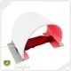 Luz LED roja para rostro Empresa Bulk BuyCardboard 1