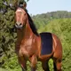 For Horses Horse Infrared Light Therapy Western Uinon by Sunglor 1