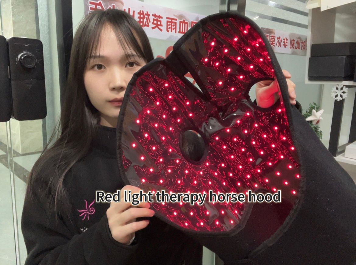 적색광 요법 말 두건: 제품 설명 및 기능 시연