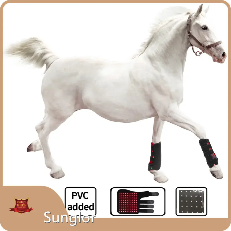 Sunglor Infrared Light Therapy for Dogs 3-7 Working Dayscompany 1