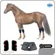 Sunglor Infrared Light for Pets 280*330*400mm Infrared Light for Petsbest Supplier 1