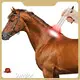 Sunglor Infrared Light Therapy for Dogs 3-7 Working Days Infrared Light Therapy for Dogswith Custom Services 1