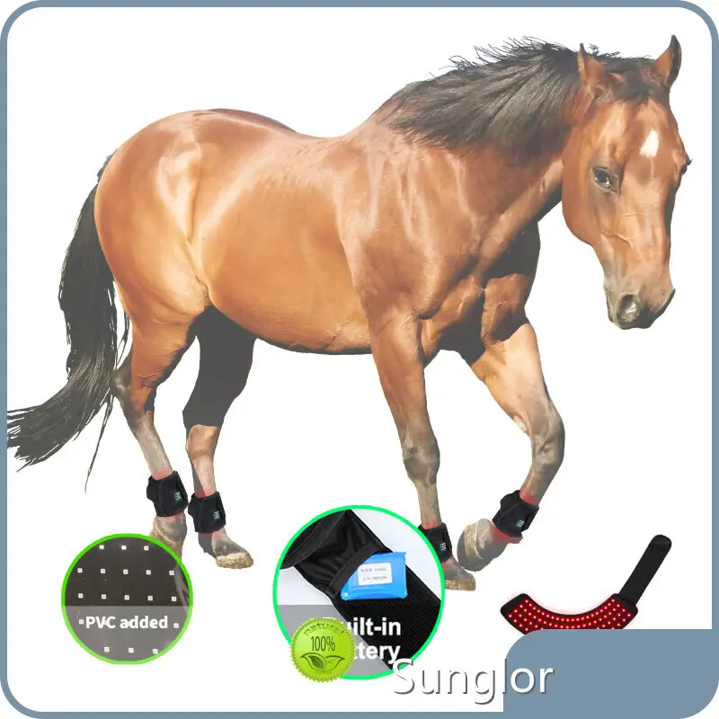 العلاج بالضوء الأحمر على الخيول SBR - للخيول - Sunglor 1