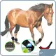 العلاج بالضوء الأحمر على الخيول SBR - للخيول - Sunglor 1