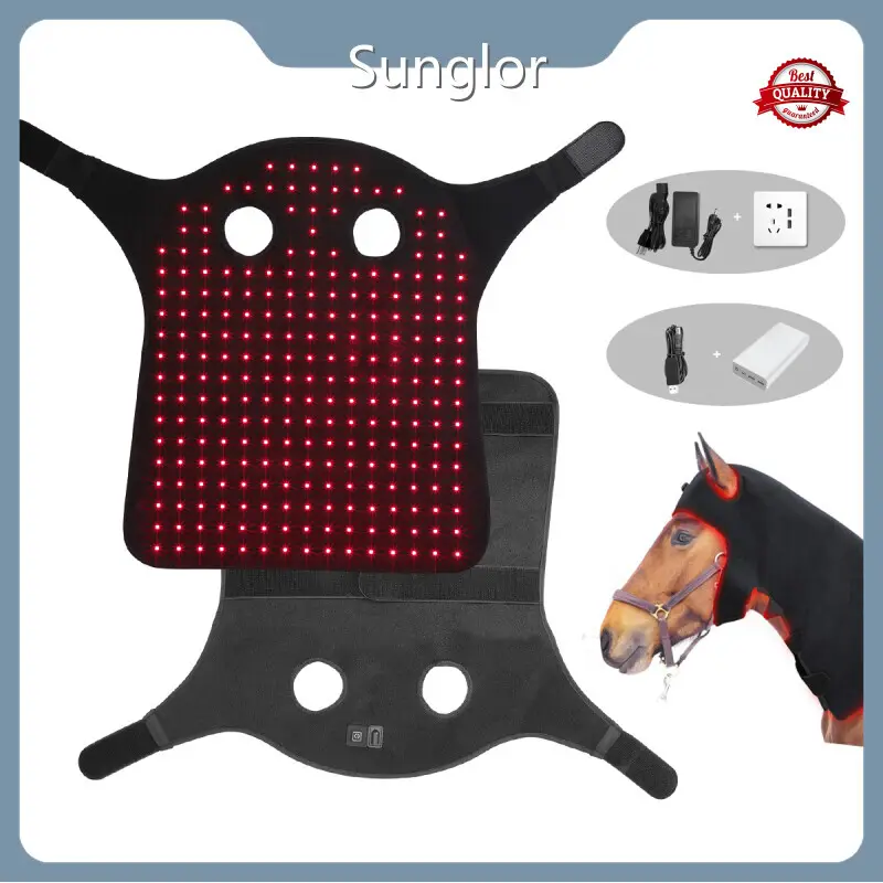 Terapia con láser de luz roja del sol para caballos 360*160*80 mm Terapia láser de luz roja para el suministro directo de fábrica de caballos 1