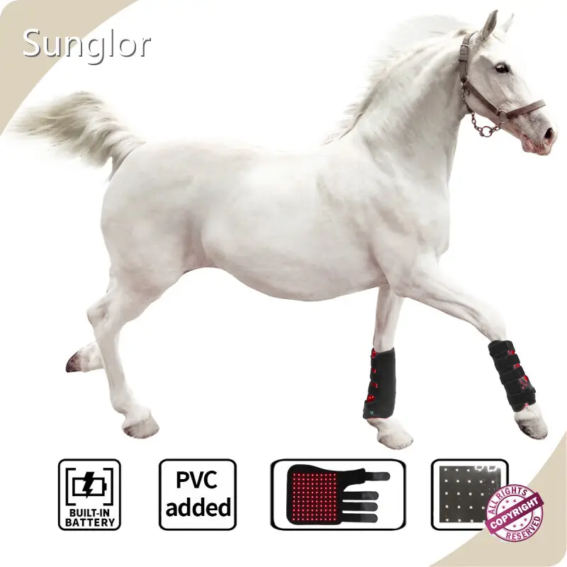 Durablered Laser Therapy for Dogs for Wholesale 3-7 Working Days Paypal 1